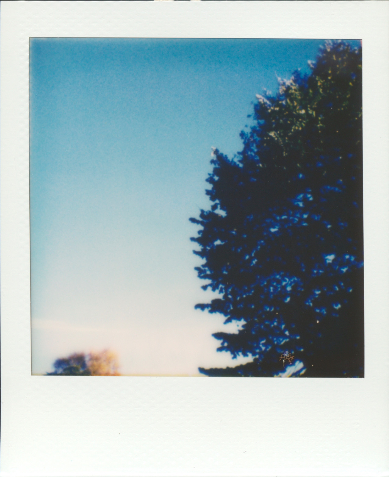 2022-11-16-0004.jpg