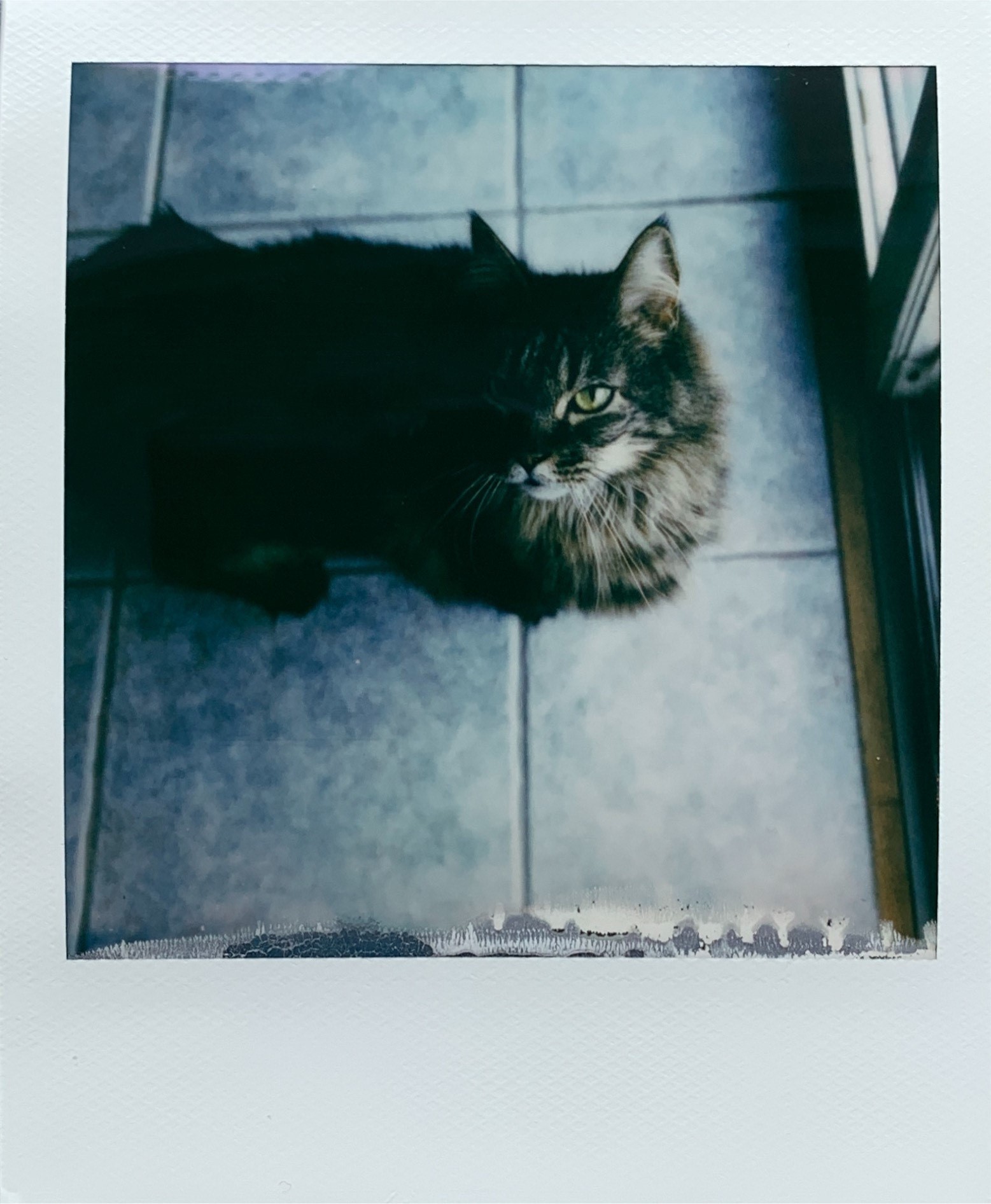 Shaken_Photo.jpg